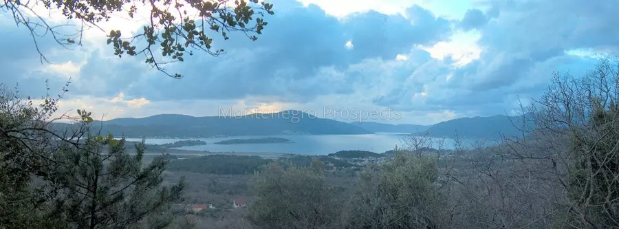 Plot with sea views for sale in green area of kavac 13758 2