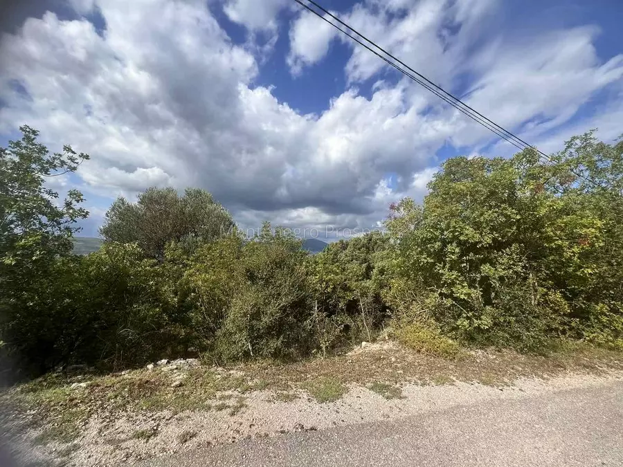 Plot with sea views for sale in green area of kavac 13758 3