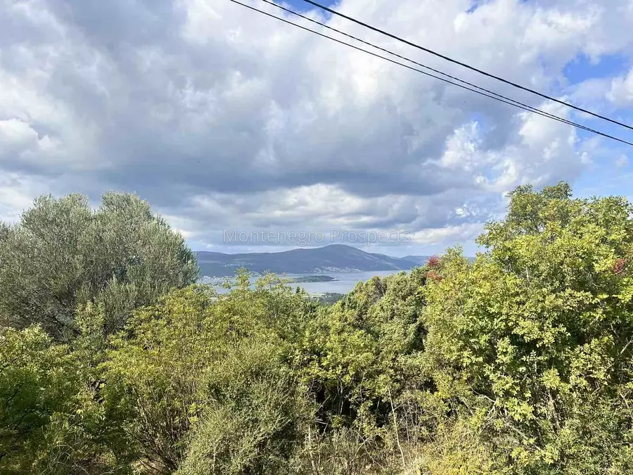 Plot with sea views for sale in green area of kavac 13758 7